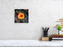 Load image into Gallery viewer, 5357578-1229566