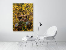 Load image into Gallery viewer, 5586549-1264788