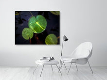 Load image into Gallery viewer, 5294014-1211258