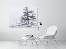 Load image into Gallery viewer, 5202428-1195002