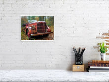 Load image into Gallery viewer, 5292993-1211239