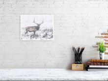 Load image into Gallery viewer, 5202467-1195003