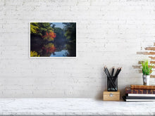 Load image into Gallery viewer, 5770805-1310570