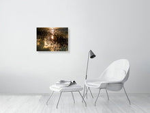 Load image into Gallery viewer, 5352204-1229339