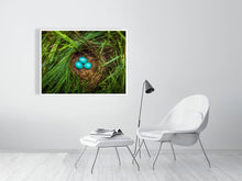 Load image into Gallery viewer, 5771167-1310580