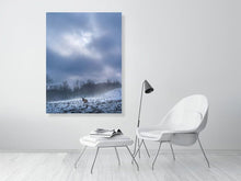 Load image into Gallery viewer, 5221854-1194685