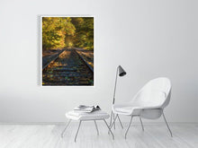 Load image into Gallery viewer, 5352297-1229324