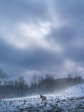 Load image into Gallery viewer, Lifting The Veil