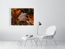 Load image into Gallery viewer, 5201927-1194981