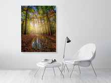 Load image into Gallery viewer, 5352307-1229329