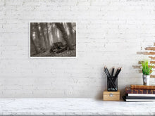 Load image into Gallery viewer, 5203984-1195019