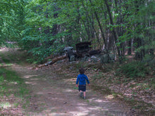 Load image into Gallery viewer, The Ghost in the Machine