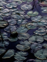 Load image into Gallery viewer, Floating