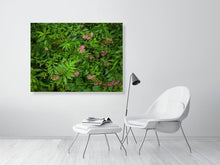 Load image into Gallery viewer, 5201683-1194938