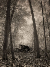 Load image into Gallery viewer, The Ghost in the Machine