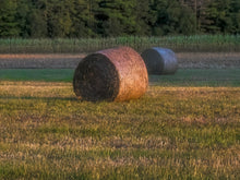 Load image into Gallery viewer, Hay Bales 2