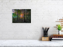 Load image into Gallery viewer, 5771322-1310704