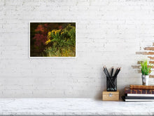 Load image into Gallery viewer, 5770919-1310566