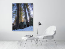 Load image into Gallery viewer, 5204065-1194657