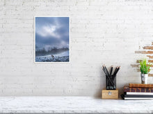 Load image into Gallery viewer, 5221854-1194682