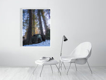 Load image into Gallery viewer, 5204065-1194656