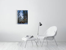 Load image into Gallery viewer, 5201199-1194627