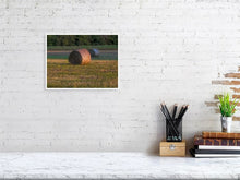 Load image into Gallery viewer, 5291734-1211968