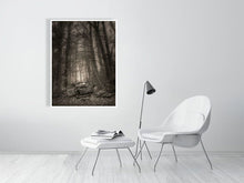 Load image into Gallery viewer, 5202301-1194652