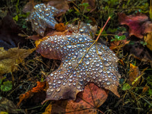 Load image into Gallery viewer, Miracles