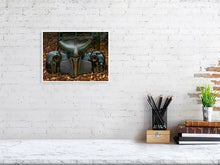 Load image into Gallery viewer, 5576416-1263948