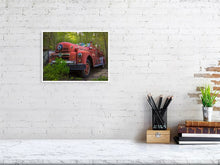 Load image into Gallery viewer, 5292999-1211247