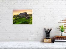 Load image into Gallery viewer, 5221851-1195103