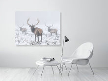 Load image into Gallery viewer, 5202398-1194998