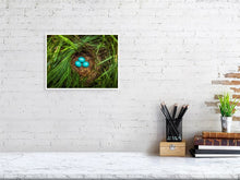 Load image into Gallery viewer, 5771167-1310578