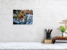 Load image into Gallery viewer, 5357379-1229553