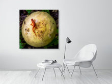 Load image into Gallery viewer, 5291607-1211356