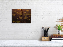 Load image into Gallery viewer, 5771269-1310712