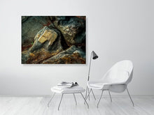 Load image into Gallery viewer, 5294008-1211896