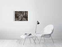 Load image into Gallery viewer, 5203810-1195008