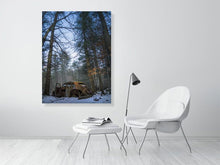 Load image into Gallery viewer, 5201199-1194629