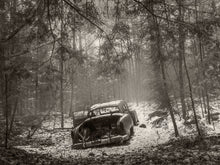 Load image into Gallery viewer, The Good Times Rolled