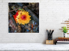 Load image into Gallery viewer, 5357578-1229567