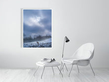 Load image into Gallery viewer, 5221854-1194684