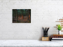 Load image into Gallery viewer, 5771241-1310720