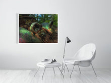 Load image into Gallery viewer, 5295795-1211291