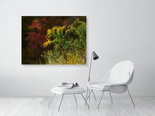 Load image into Gallery viewer, 5770919-1310569