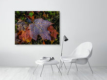 Load image into Gallery viewer, 5201979-1194986