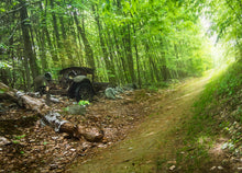 Load image into Gallery viewer, The Ghost in the Machine