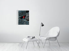 Load image into Gallery viewer, 5796693-1313536