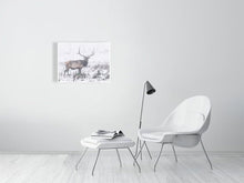 Load image into Gallery viewer, 5202467-1195004